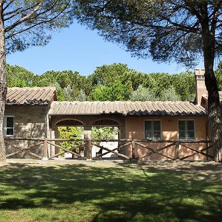 Podere Poggio Mendico Ареццо Экстерьер фото