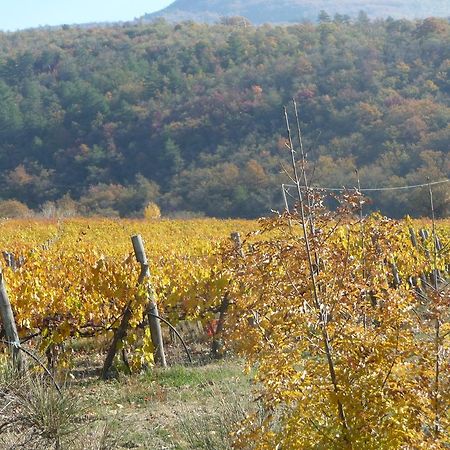 Podere Poggio Mendico Ареццо Экстерьер фото