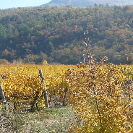 Вилла Podere Poggio Mendico Ареццо Экстерьер фото