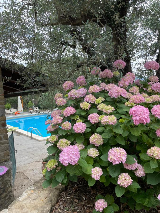 Podere Poggio Mendico Ареццо Экстерьер фото