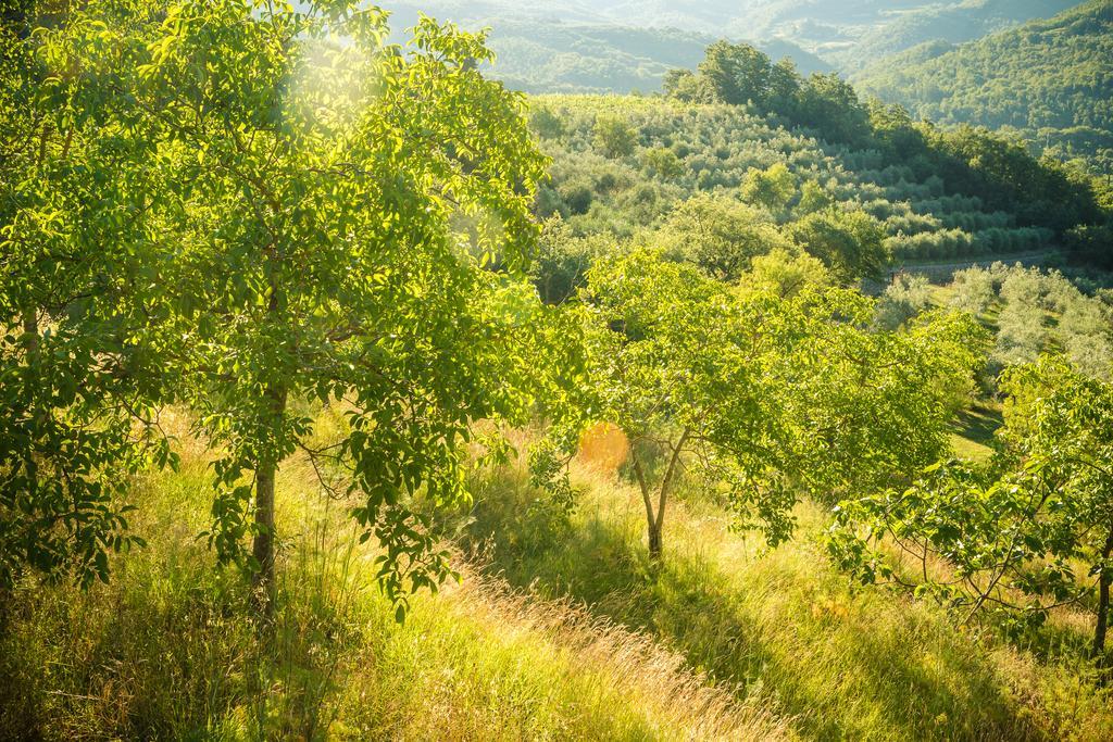 Вилла Podere Poggio Mendico Ареццо Экстерьер фото