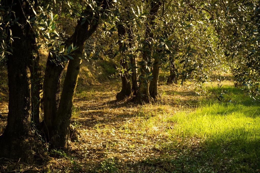 Вилла Podere Poggio Mendico Ареццо Экстерьер фото