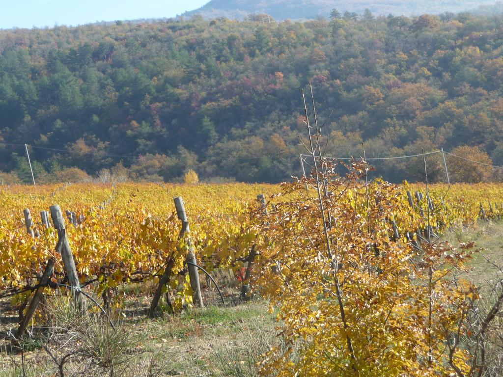 Вилла Podere Poggio Mendico Ареццо Экстерьер фото